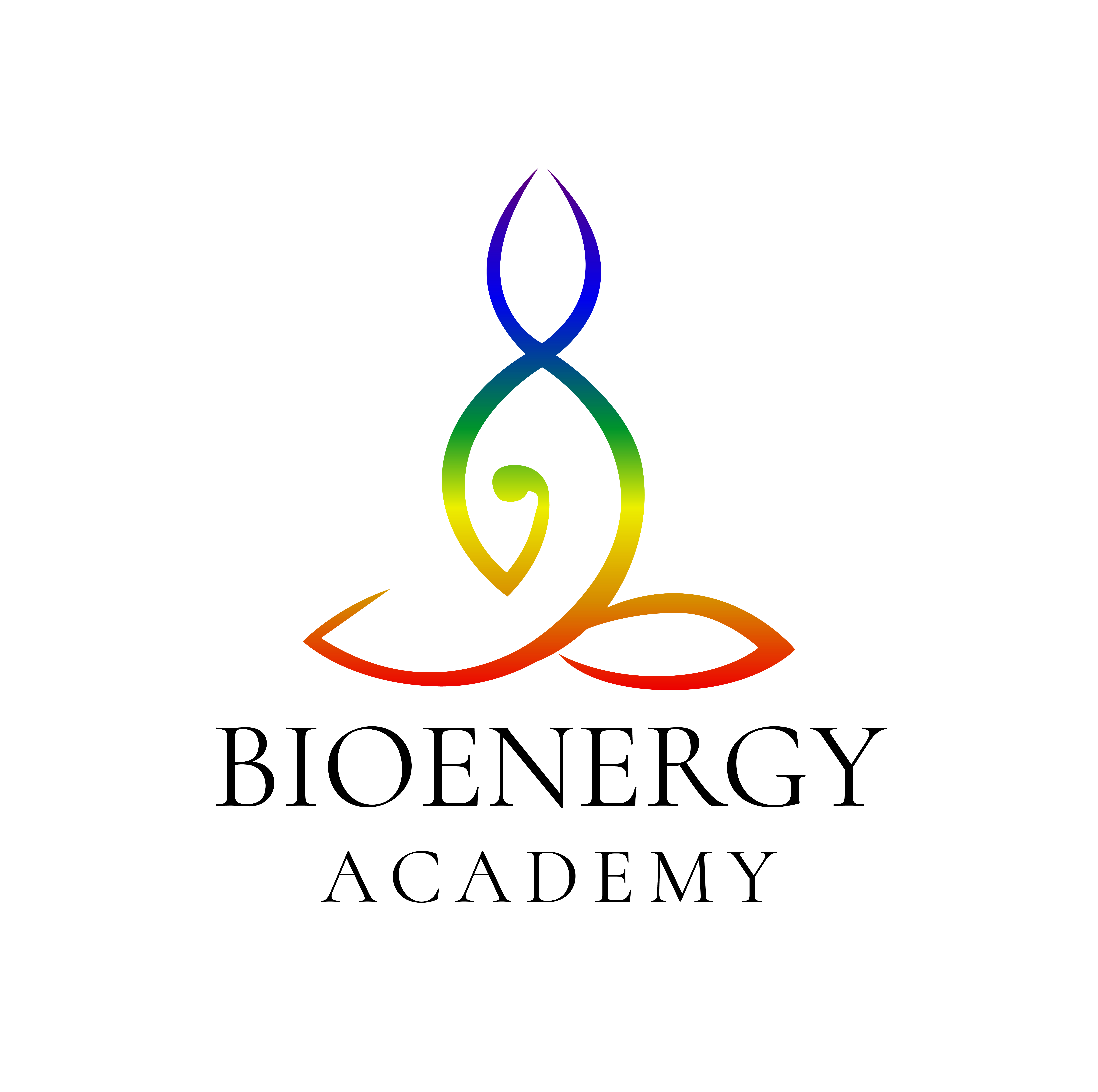 Bioenergy Academy